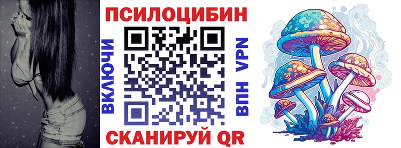 Псилоцибиновые грибы ЛСД  наркошоп  Заозёрск 