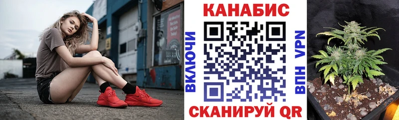 Каннабис семена  площадка официальный сайт  Заозёрск 